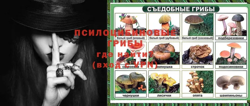 Галлюциногенные грибы Magic Shrooms  маркетплейс клад  Верхоянск 